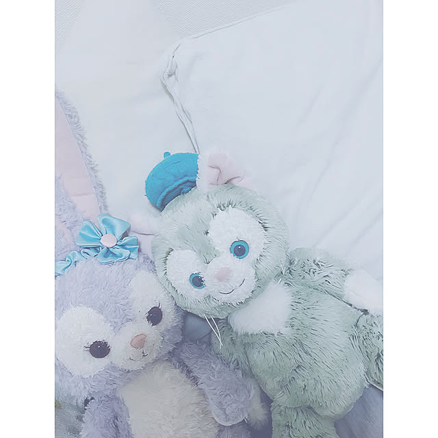 Siriさんの実例写真