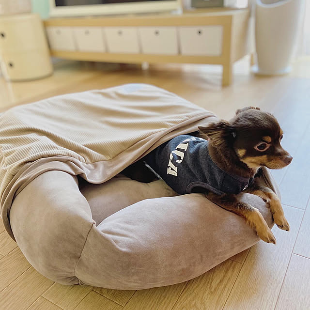 miyuさんの実例写真