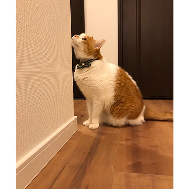 __me.さんの実例写真