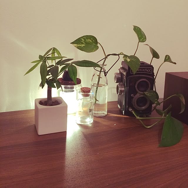 nishiさんの実例写真