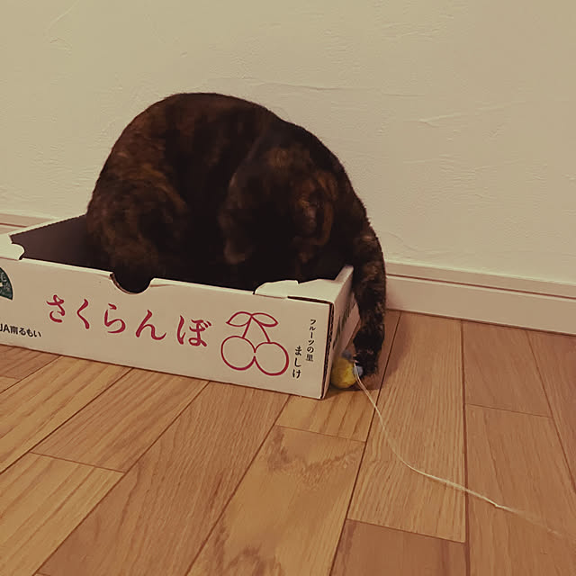 wahahaさんの部屋