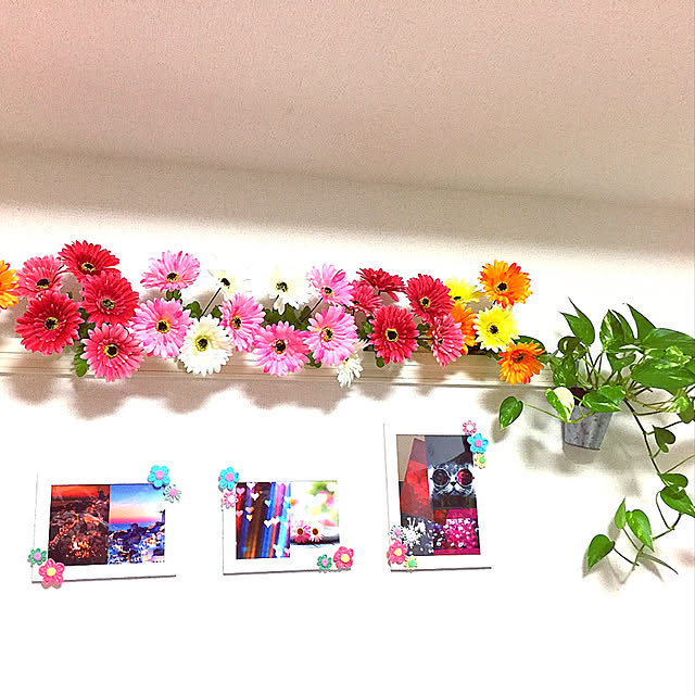 koyuriさんの実例写真