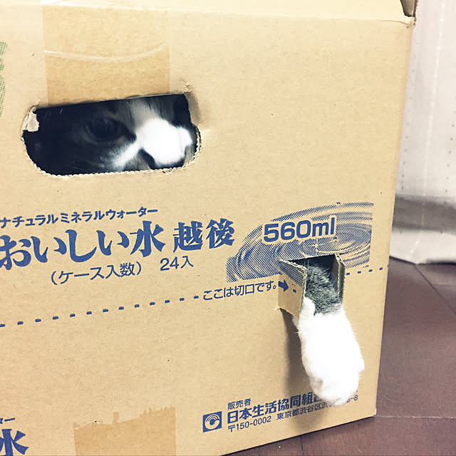 shinoさんの実例写真