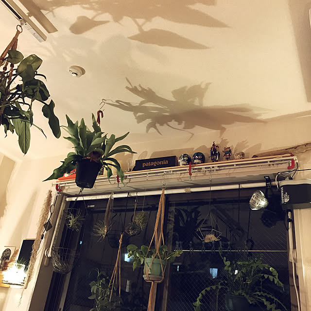 Yu-sukeさんの実例写真