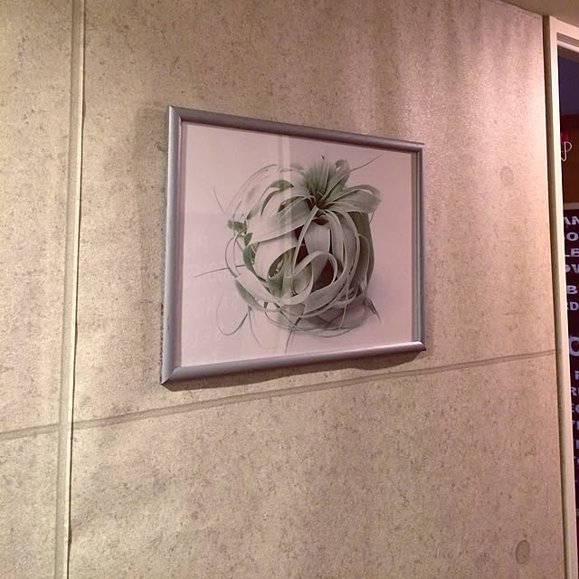 nonさんの実例写真