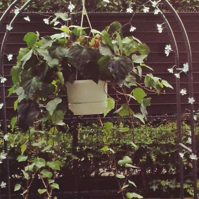 nozominさんの実例写真