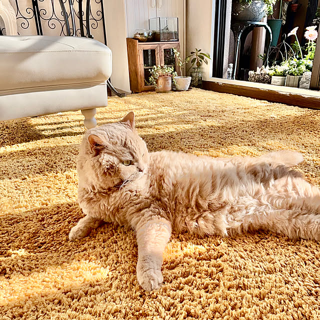 naokoさんの部屋