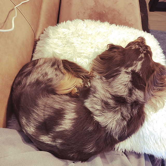 cocoaさんの実例写真