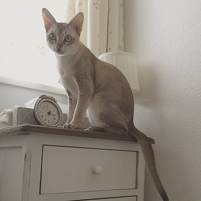 a-mkさんの実例写真