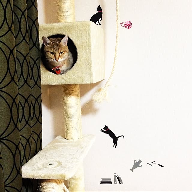 1633さんの実例写真