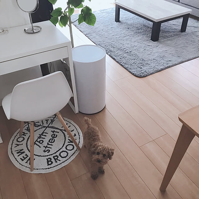 lilyさんの実例写真