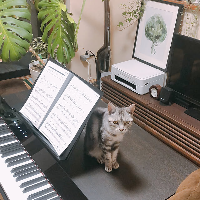 px-s1100/電子ピアノ/ピアノ/ピアノがある部屋/観葉植物...などのインテリア実例 - 2022-07-30 23:33:06