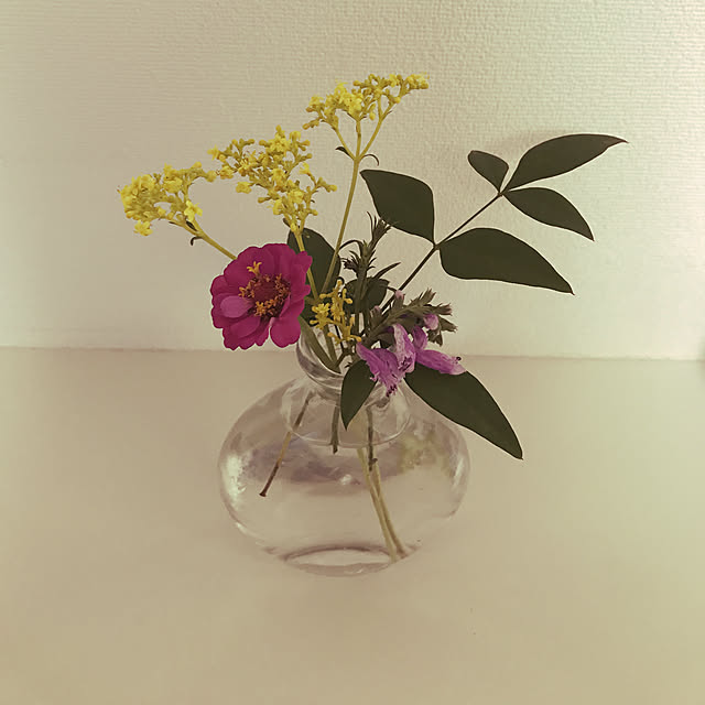chisaさんの実例写真