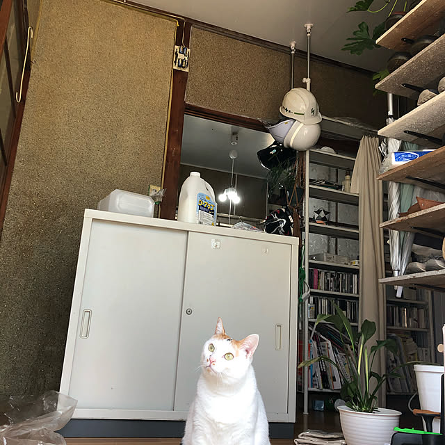 tokekoさんの実例写真
