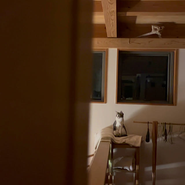 kozakura10さんの実例写真
