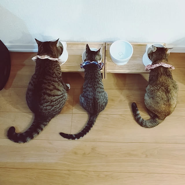 mochicoさんの実例写真