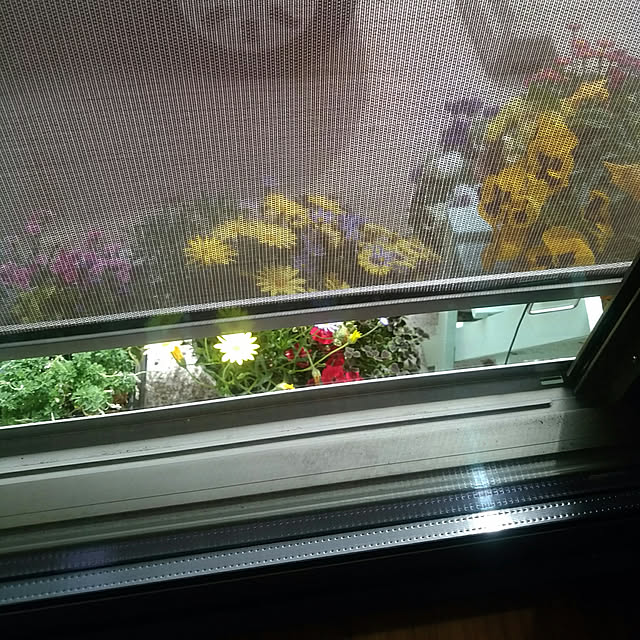 kyukyuさんの実例写真