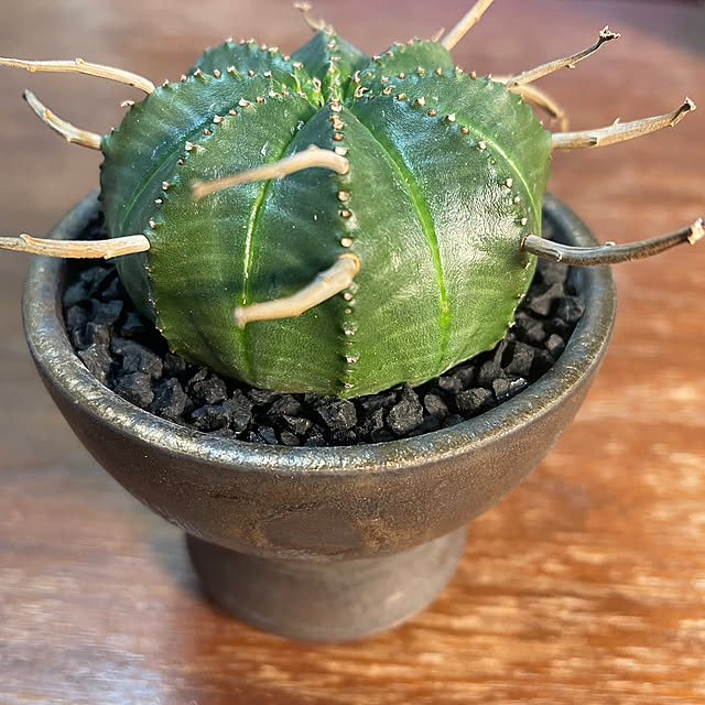 c.kさんの部屋