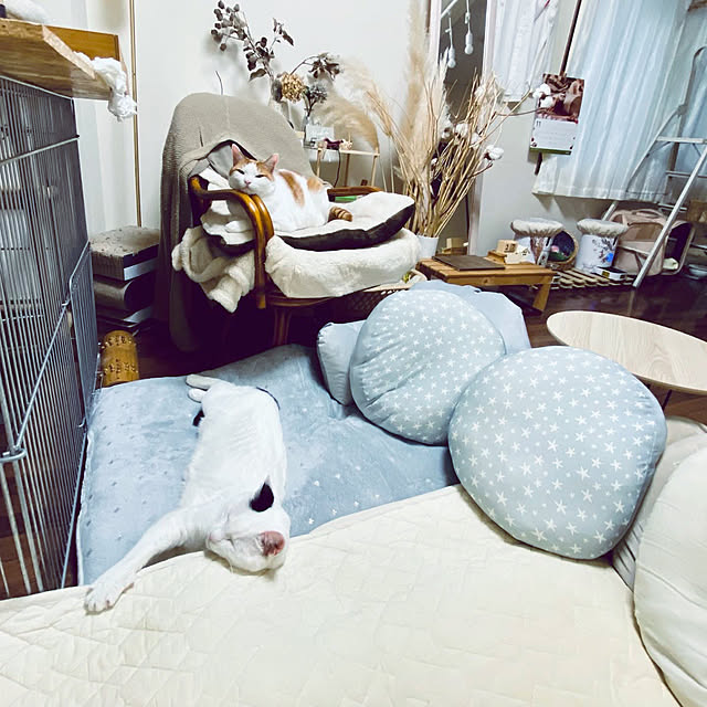 YUKAさんの実例写真