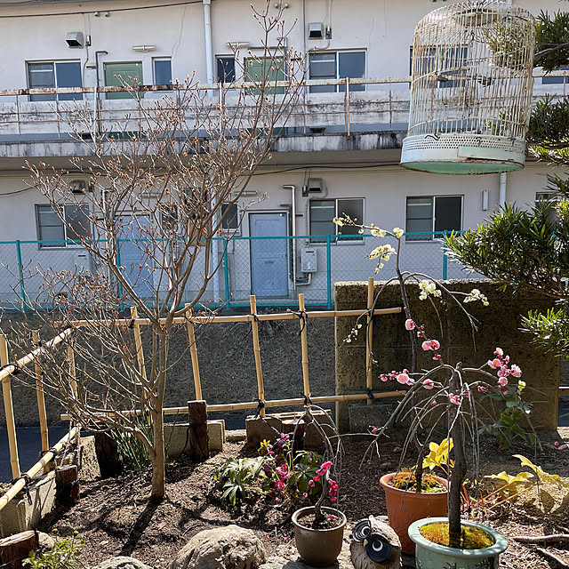 shin0719さんの実例写真