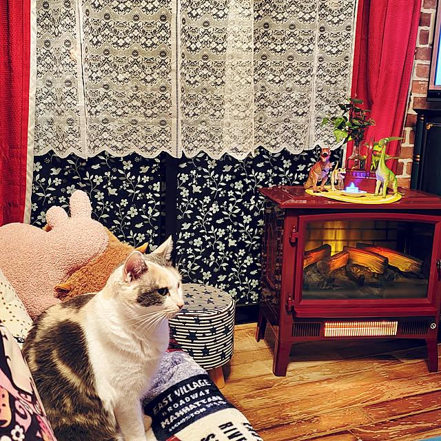 kumutanさんの実例写真