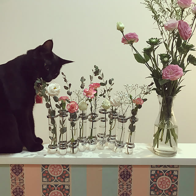 jucakikkaさんの実例写真