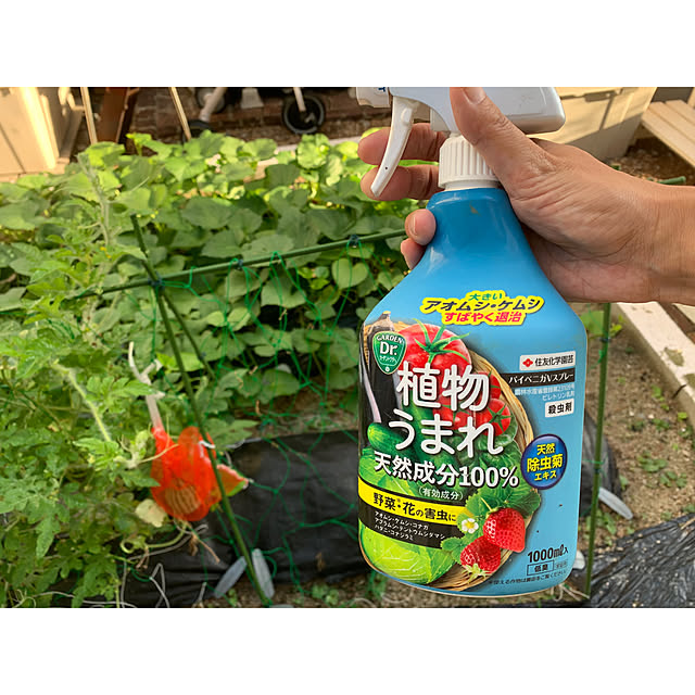 kaさんの部屋