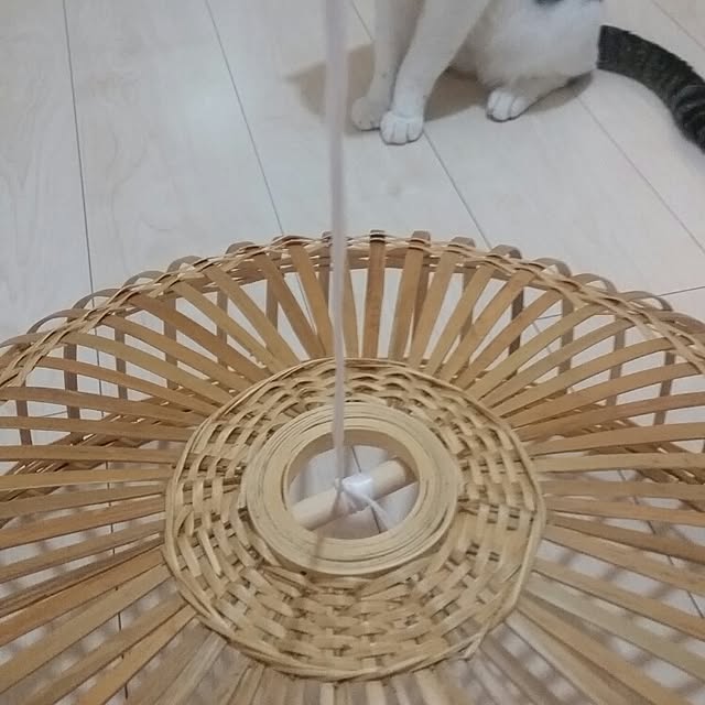 runayucoさんの実例写真