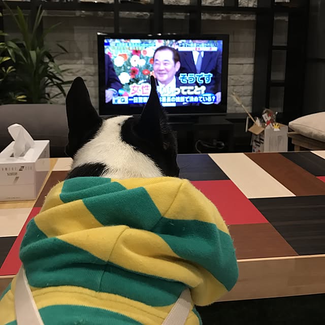 Mayumiさんの実例写真