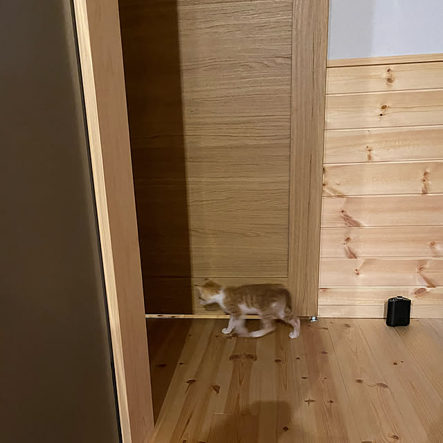 senbei.sakuramochiさんの実例写真