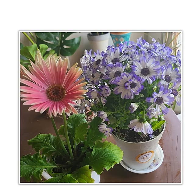 monnさんの部屋