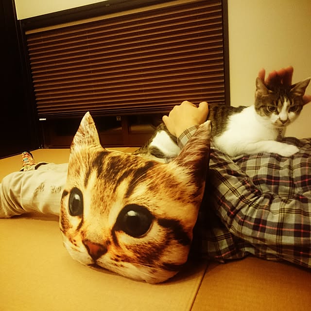 nsugi0710さんの実例写真