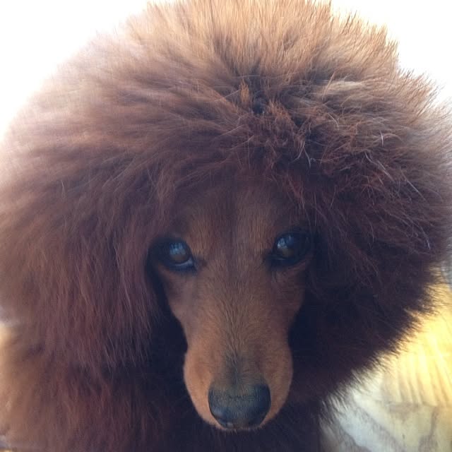 katsuwoさんの実例写真
