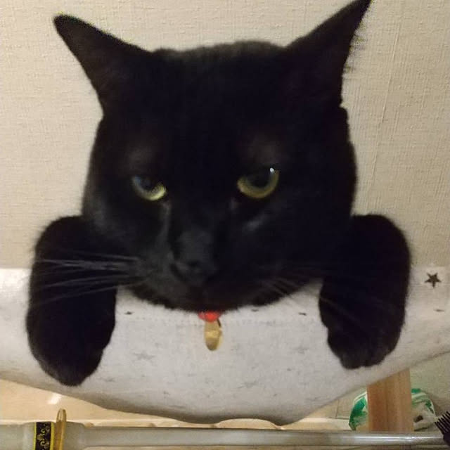 Tさんの実例写真
