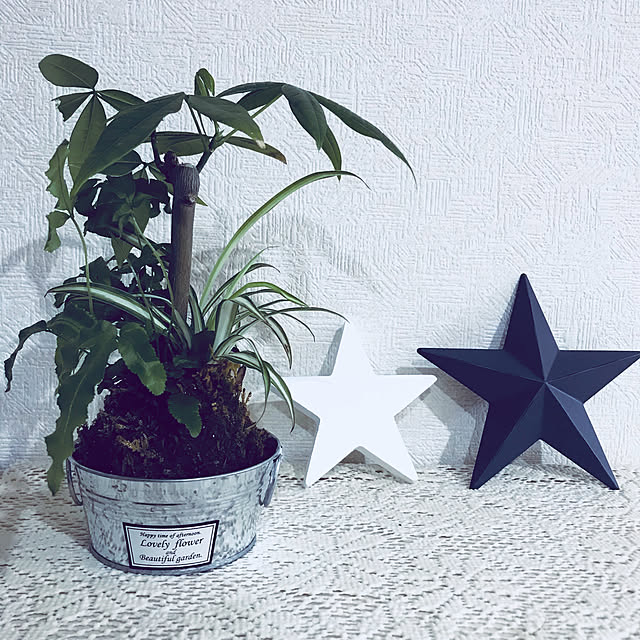 Ayuminnさんの実例写真