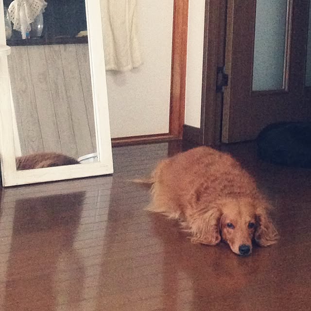 taro_sakuraさんの実例写真