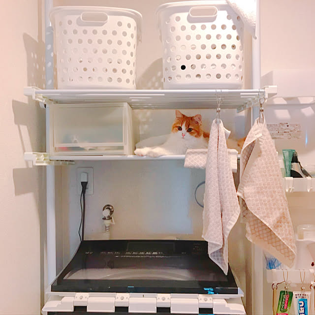 H.Tさんの実例写真