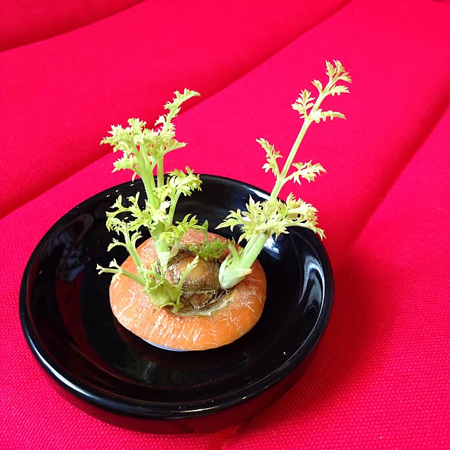 キッチンのインテリア実例 - 2015-09-13 13:52:08