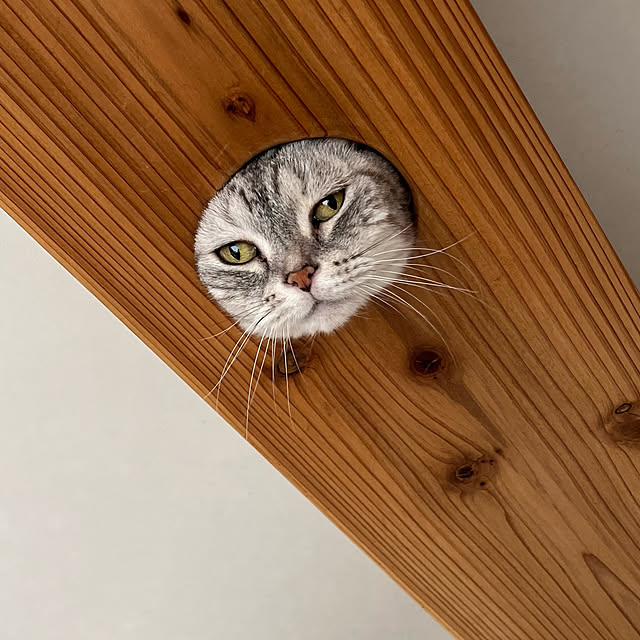 kuuさんの部屋