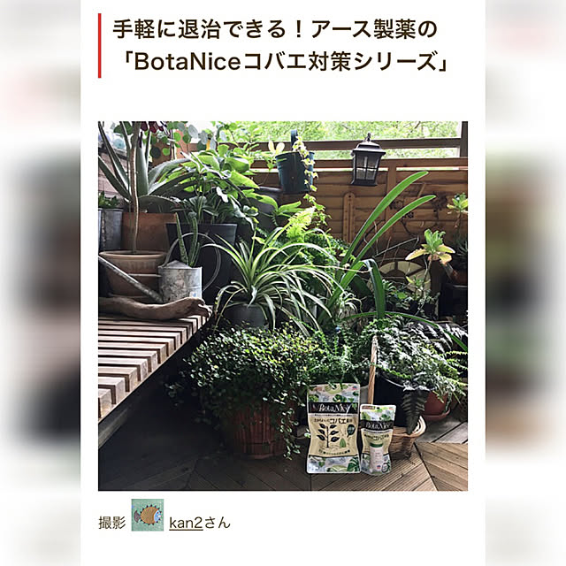 kan2さんの実例写真