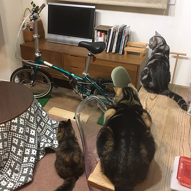 mikomaruさんの実例写真