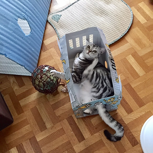 tanutanさんの実例写真