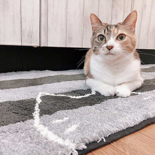 tina_sa_0さんの実例写真