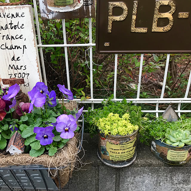 nokkoさんの実例写真