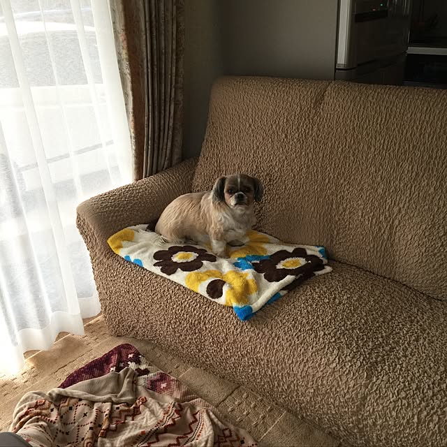 SUMJmamさんの実例写真