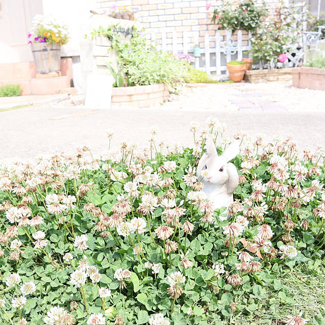 S.homeさんの実例写真