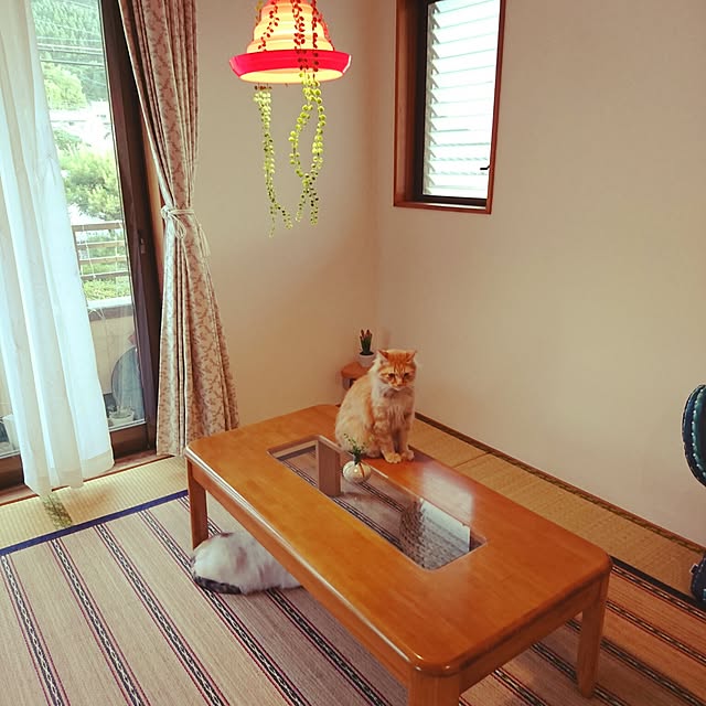 uchizukonyanさんの実例写真