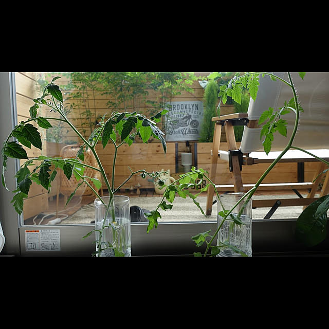 NKGardenさんの実例写真
