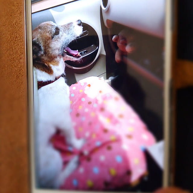 Kazu.Sさんの実例写真