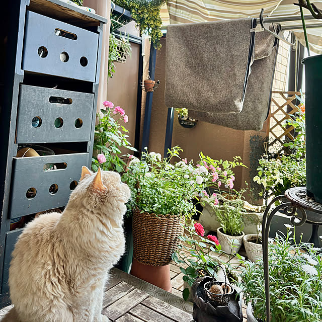 naokoさんの部屋